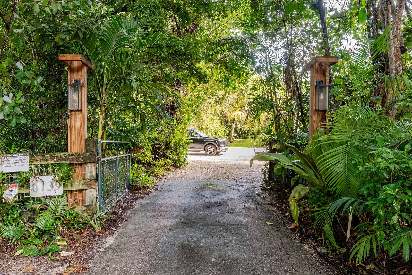 Gated drive into the property through tropical plants