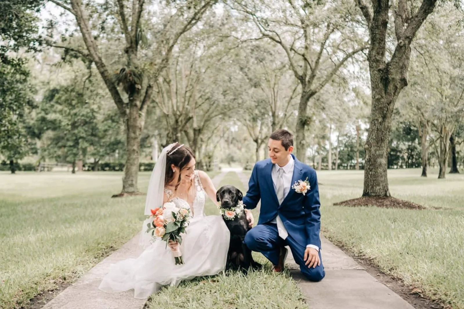 Bride and groom with their dog on the drive
