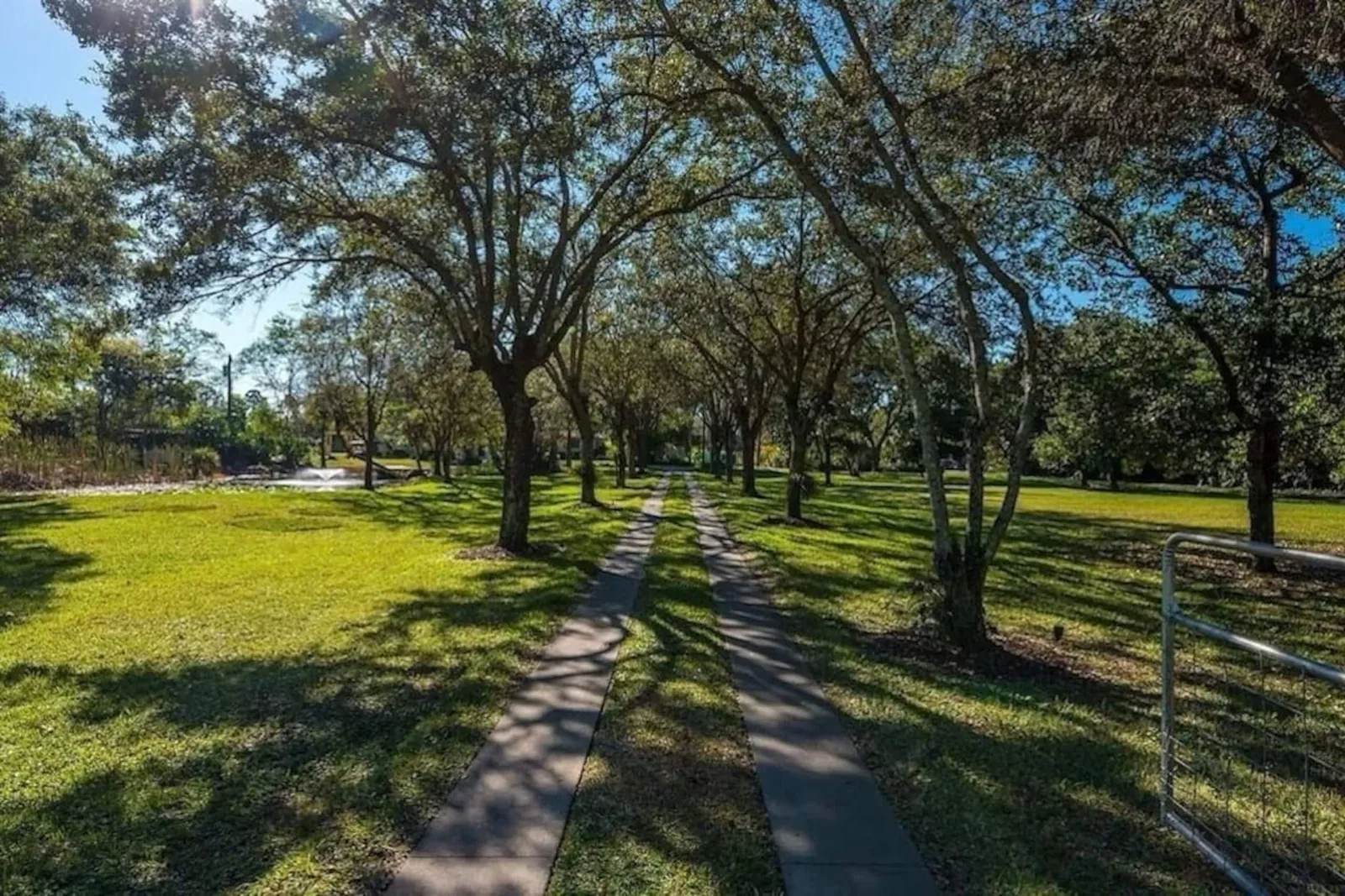 Oak-lined drive crossing the open lawns of the hacienda