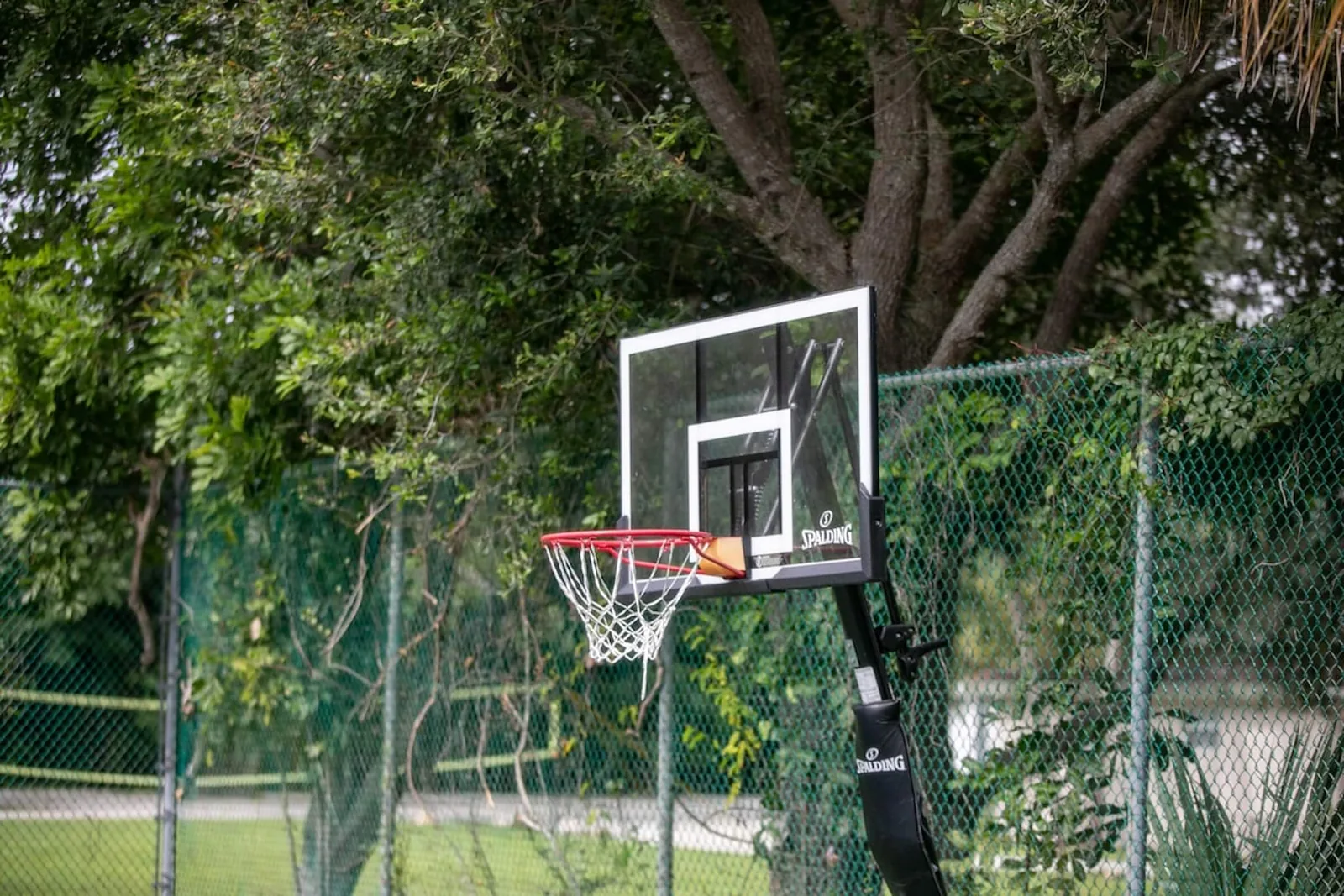 Basketball hoop beside the court